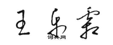 骆恒光王乐霜草书个性签名怎么写