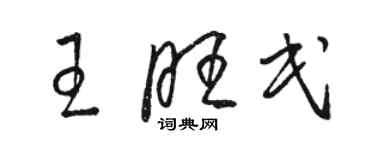 骆恒光王旺民草书个性签名怎么写