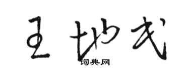 骆恒光王地民草书个性签名怎么写