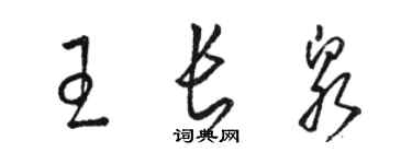 骆恒光王长泉草书个性签名怎么写
