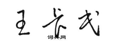 骆恒光王卡民草书个性签名怎么写