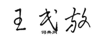 骆恒光王民放草书个性签名怎么写