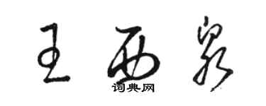 骆恒光王西泉草书个性签名怎么写