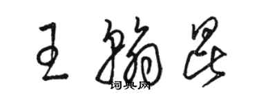 骆恒光王翰昆草书个性签名怎么写