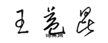 骆恒光王益昆草书个性签名怎么写