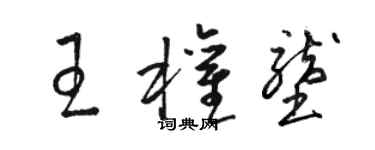 骆恒光王权垄草书个性签名怎么写