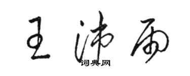 骆恒光王沛雨草书个性签名怎么写