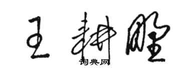 骆恒光王耕野草书个性签名怎么写
