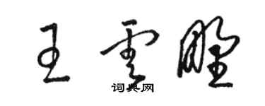 骆恒光王云野草书个性签名怎么写
