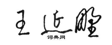 骆恒光王延野草书个性签名怎么写