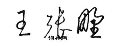 骆恒光王张野草书个性签名怎么写