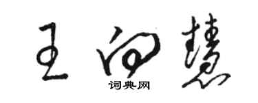 骆恒光王向慧草书个性签名怎么写