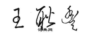 骆恒光王耿丰草书个性签名怎么写