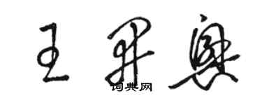 骆恒光王开兴草书个性签名怎么写