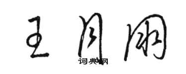 骆恒光王月朋草书个性签名怎么写