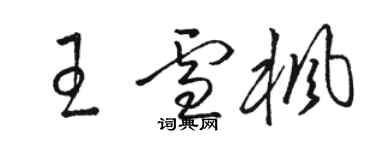 骆恒光王雪枫草书个性签名怎么写
