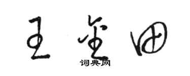 骆恒光王金田草书个性签名怎么写