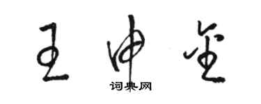 骆恒光王申金草书个性签名怎么写