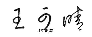 骆恒光王可晴草书个性签名怎么写