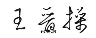 骆恒光王晋操草书个性签名怎么写