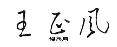 骆恒光王正风草书个性签名怎么写