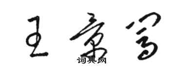 骆恒光王景闯草书个性签名怎么写