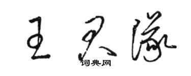 骆恒光王君队草书个性签名怎么写