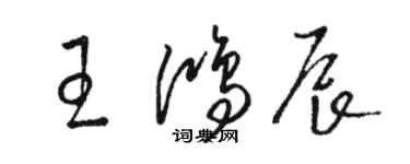 骆恒光王鸿辰草书个性签名怎么写