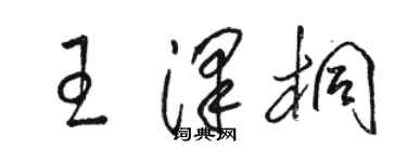 骆恒光王泽桐草书个性签名怎么写