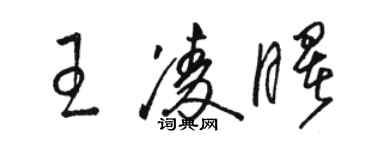 骆恒光王凌曙草书个性签名怎么写