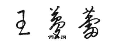骆恒光王梦蕾草书个性签名怎么写