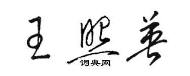 骆恒光王照英草书个性签名怎么写