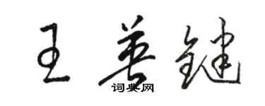 骆恒光王英键草书个性签名怎么写