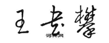 骆恒光王书攀草书个性签名怎么写