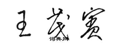 骆恒光王茂宾草书个性签名怎么写