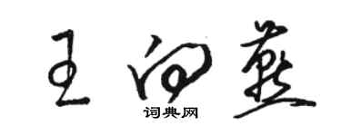 骆恒光王向燕草书个性签名怎么写