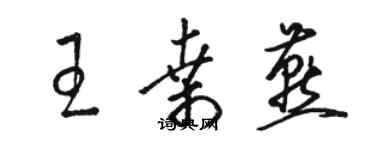 骆恒光王桑燕草书个性签名怎么写