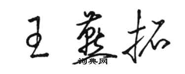 骆恒光王燕拓草书个性签名怎么写