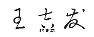 骆恒光王吉发草书个性签名怎么写