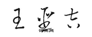 骆恒光王圣吉草书个性签名怎么写