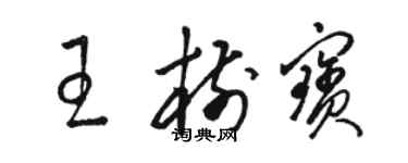 骆恒光王树宝草书个性签名怎么写