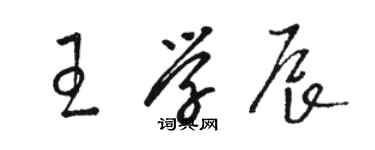 骆恒光王学辰草书个性签名怎么写