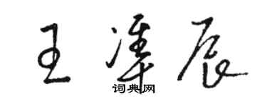 骆恒光王准辰草书个性签名怎么写