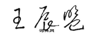 骆恒光王辰盟草书个性签名怎么写