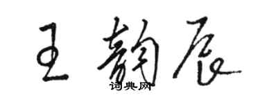 骆恒光王韵辰草书个性签名怎么写