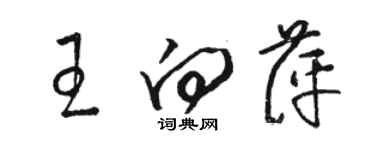 骆恒光王向萍草书个性签名怎么写