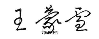 骆恒光王蒙雪草书个性签名怎么写