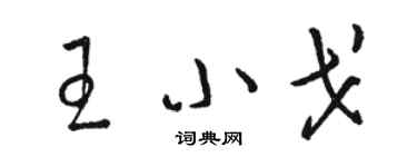 骆恒光王小戈草书个性签名怎么写