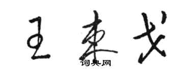 骆恒光王束戈草书个性签名怎么写