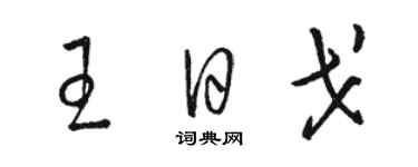 骆恒光王日戈草书个性签名怎么写